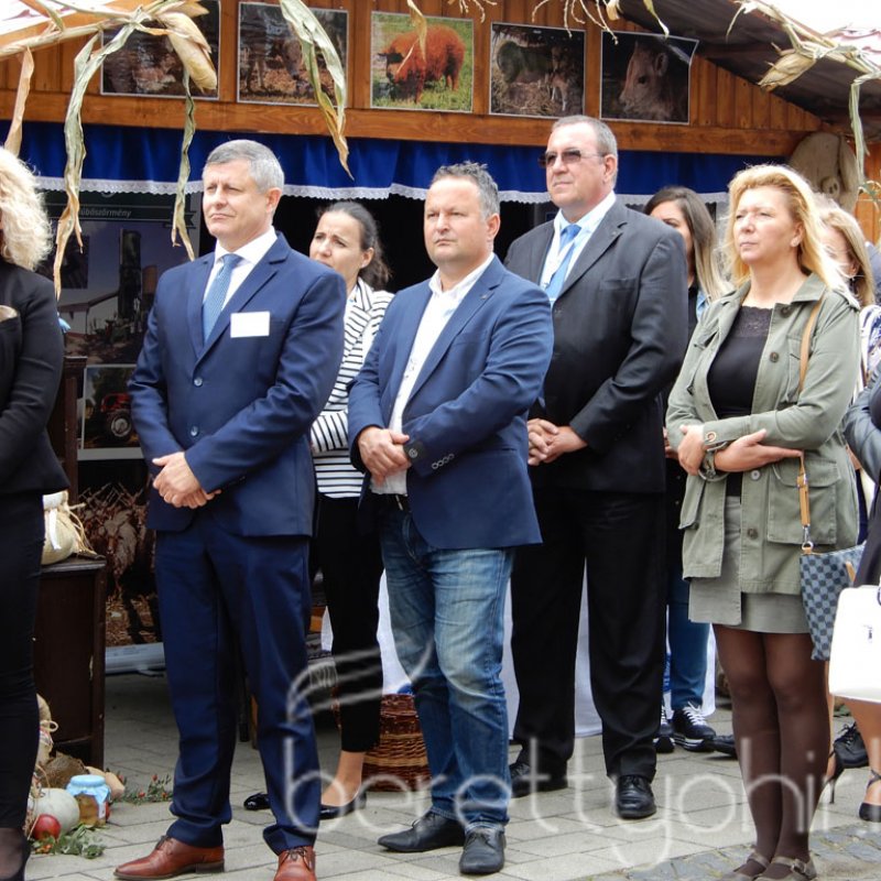 Helyi Értékek Startja 14